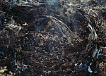 Mila Pani?, Return, 2016, photo: artist
